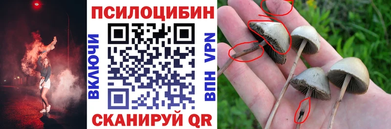 Купить  Семёнов  Псилоцибиновые грибы Cubensis 