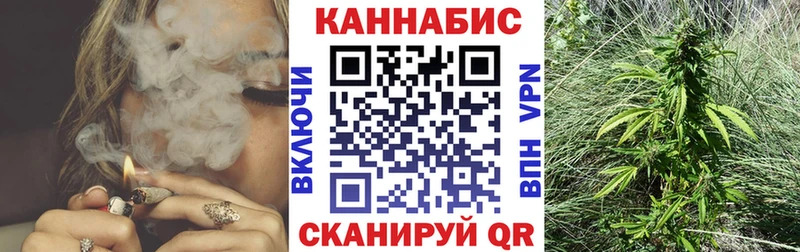 Конопля сатива  Купить  Семёнов 